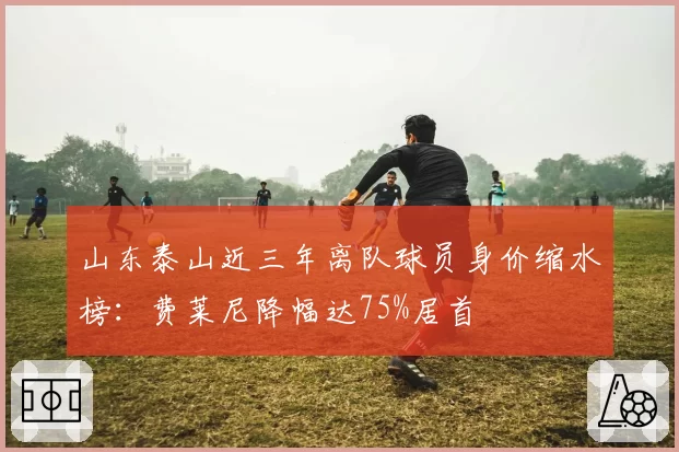 山东泰山近三年离队球员身价缩水榜：费莱尼降幅达75%居首