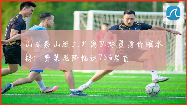 山东泰山近三年离队球员身价缩水榜：费莱尼降幅达75%居首