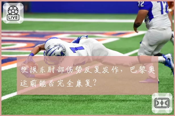 樊振东肘部伤势反复发作,巴黎奥运前能否完全康复?